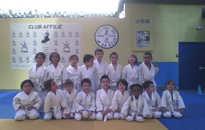 Baby et Ecole de judo 2014-2015